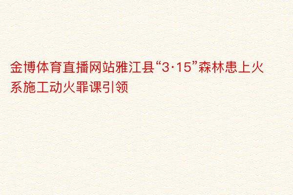 金博体育直播网站雅江县“3·15”森林患上火系施工动火罪课引领